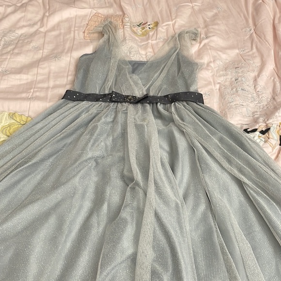 Beautiful Silver tulle dress from Max and Cleo size 10 - Picture 3 of 4
